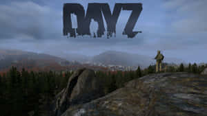 一名士兵在多雲天空下從岩石懸崖俯瞰森林山谷，上方有DAYZ字樣。