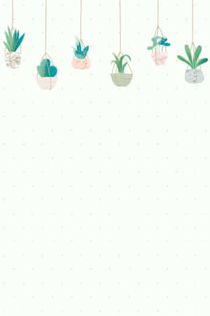五盆懸掛盆栽植物，帶圖案容器，置於圓點背景上。 — Huawei MatePad 11.5 (2026) 壁紙