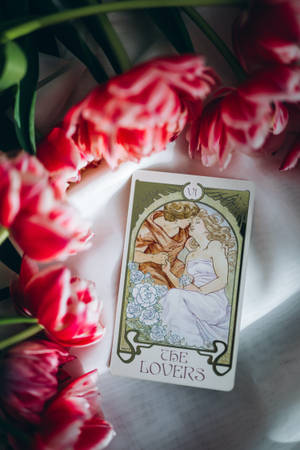 塔羅牌 The Lovers 被粉紅和白色鬱金香環繞，在柔和自然光中。
