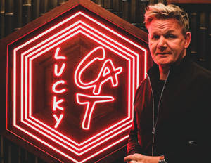 戈登·拉姆齊在餐廳內一個紅色霓虹燈招牌「Lucky Cat」前。 — 搞笑貓 壁紙