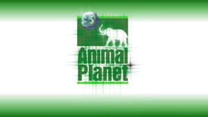 Animal Planet 標誌，白色大象和地球儀在綠色網格上。