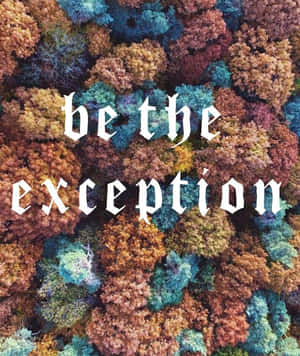 色彩繽紛的秋樹航拍照片，文字 be the exception