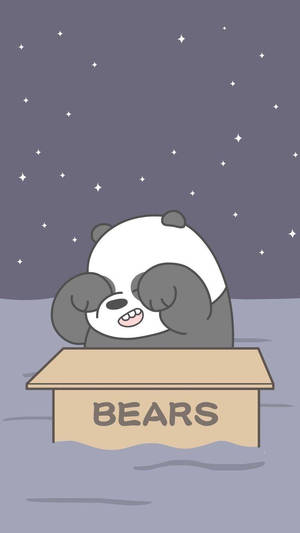 一隻卡通熊貓在星空下一個標有 BEARS 的箱子裡睡覺。
