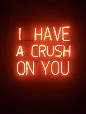 紅色燈光寫著 I have a crush on you 的霓虹燈牌。