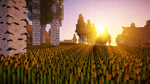 Minecraft 夕陽下的草地田野，有白樺樹和村莊房屋。