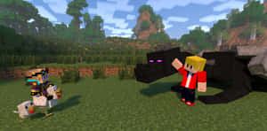 兩個Minecraft玩家喺草地生物群落遇到一隻黑狼。