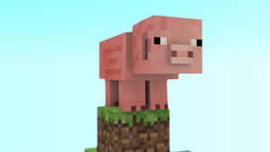 像素風格的粉紅色Minecraft豬站在草地塊上，背景是藍天。