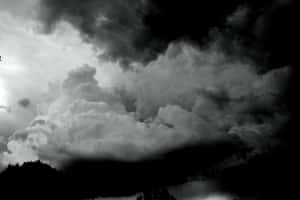 戲劇性的暴風雲在單色中籠罩著黑暗的樹線。 — 雷暴 壁紙