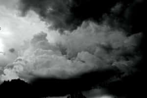 黑暗樹線上的戲劇性暴風雲，單色。 — 天堂 壁紙