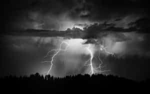 暴風雨中，閃電在黑暗森林上空閃爍。 — 唯美雲朵動態 壁紙