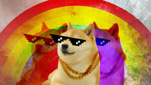 柴犬戴像素太陽眼鏡和金鏈，彩虹背景 — 搞笑 壁紙