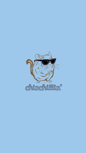 一隻戴太陽眼鏡的毛絲鼠，在藍色背景上寫著chinchillin。 — 藍色 壁紙