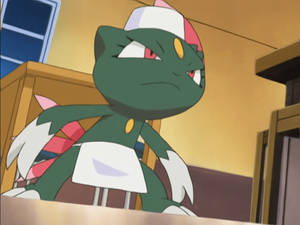 戴帽子與腰布的Sneasel