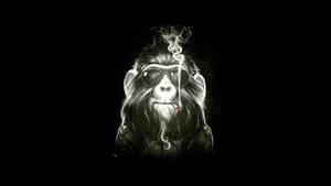 戴著太陽眼鏡的猴子抽煙，煙霧升起。