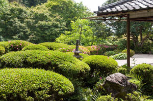 日本花園，有修剪過的灌木、石燈籠和木亭