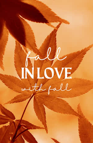 「fall in love with fall」文字疊加在琥珀色楓葉上。