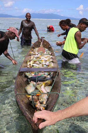 漁民聚集在一艘裝滿魚的獨木舟周圍，海水清澈。