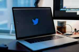 Twitter圖片 — 美學筆電 壁紙