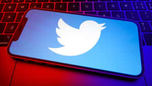 Twitter圖片 — 美學筆電 壁紙