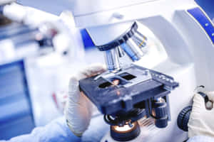 科學家在實驗室調整顯微鏡