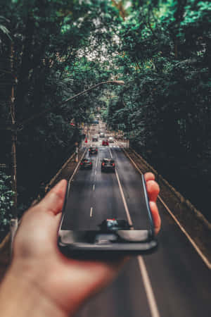 手拿著手機拍攝樹蔭街道上的汽車 — 美學手機GIF 壁紙