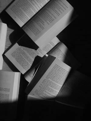 木上的打開書本，陽光與陰影 — 黑白 壁紙