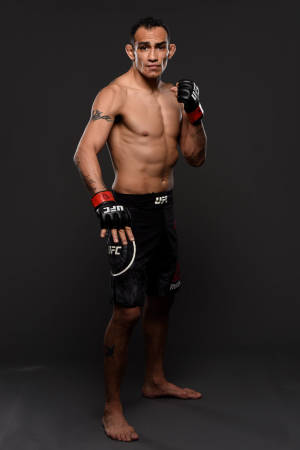 一位赤腳的MMA拳手穿著UFC短褲和手套，在黑暗的攝影棚中嚴肅地擺姿勢。 — 小米Pad 8 壁紙