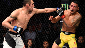 兩名男性拳手戴著MMA手套在八角籠內互相出拳。