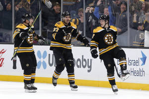 冰球運動員在冰上慶祝入球，球迷在玻璃後歡呼。 — 運動 壁紙