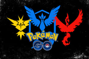 Pokémon GO標誌，三隻傳說中的鳥類在帶紋理的黑色背景上。