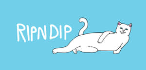 白色卡通貓在藍色背景上躺著，帶有「RIPNDIP」文字。
