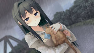 雨中抱著貓咪、表情溫柔的動漫女孩