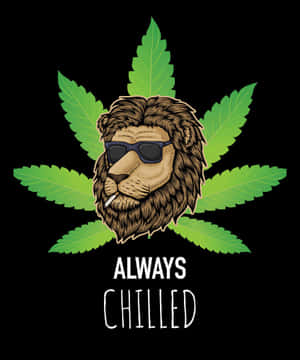一隻戴太陽眼鏡的卡通獅子手持香煙，被大麻葉和文字 always chilled 包圍。 — Motorola Razr 70 Ultra 壁紙