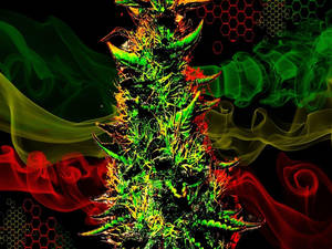 螢光綠色大麻植物被旋轉的紅色和綠色煙霧包圍，背景為黑色六邊形。
