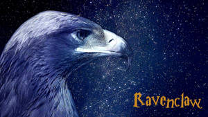 一隻深色羽毛的鷹，背景是繁星點點的夜空，帶有 'Ravenclaw' 文字。