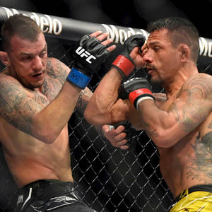 兩名男性MMA拳手在籠中比賽時互相出拳。