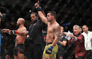 UFC拳手在八角籠內慶祝勝利，裁判和評論員作出反應。