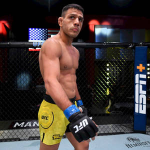 UFC拳手穿著黃色短褲站在八角籠內。
