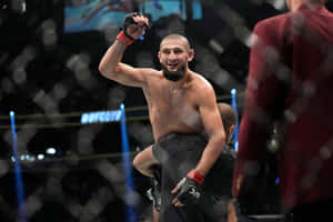 MMA選手在八角籠中舉起手臂慶祝勝利。