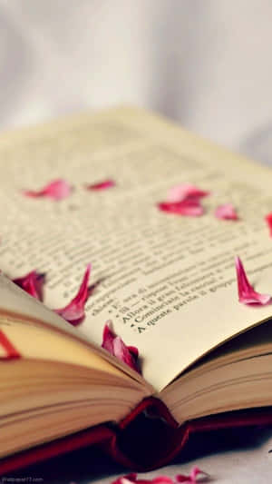 打開的書，粉紅色花瓣放在書頁上。
