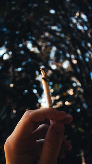 手拿著點燃的香煙，陽光透過後面的樹木照射進來。