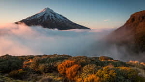 積雪的山峰在日出時聳立於雲海之上，下方有金色的灌木。