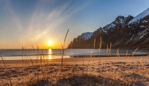積雪山脈和平靜海面上的夕陽，前景有草