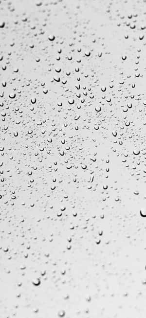 柔和的灰色背景上玻璃雨滴的特寫