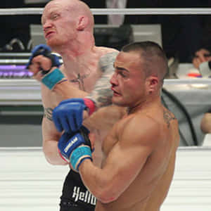 兩名男性MMA拳手在比賽中於八角籠內激烈纏鬥。 — 夢境 GIF 壁紙
