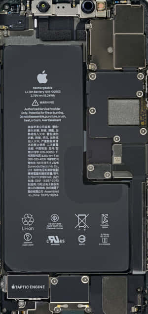 iPhone內部視圖，顯示電池和電路