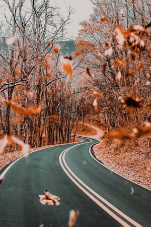 蜿蜒的道路穿過秋日森林，落葉飄動。
