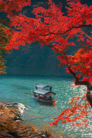 秋天，平靜的湖面上，觀光船在鮮紅的楓樹下。 — 小米Pad 9 Pro 壁紙