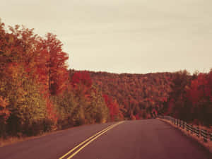 陰天下穿過秋日森林的蜿蜒道路，樹木呈現紅色和橙色