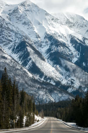 陰天下，常綠樹兩旁積雪的山路。 — 小米Pad 9 Pro 壁紙
